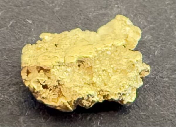 ALASKAN GOLD NUGGET| Natural Gold Nugget| Authentic Alaska Natural Gold Nugget| 0.237 Grams Of Pure Raw Gold| Rare Collector's Piece Or Gift