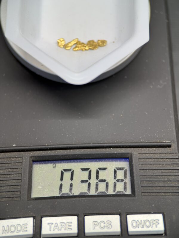 ALASKAN GOLD NUGGET| Natural Gold Nugget| Authentic Alaska Natural Gold Nugget| 0.368 Grams Of Pure Raw Gold| Rare Collector's Piece Or Gift - Image 4