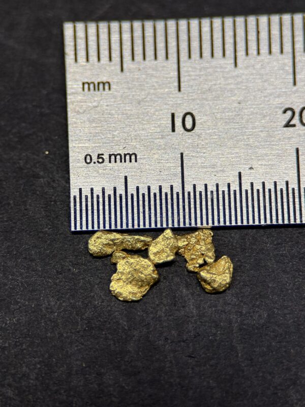 ALASKAN GOLD NUGGET| Natural Gold Nugget| Authentic Alaska Natural Gold Nugget| 0.368 Grams Of Pure Raw Gold| Rare Collector's Piece Or Gift - Image 2