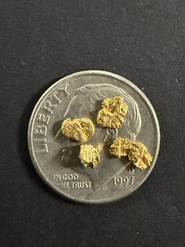 ALASKAN GOLD NUGGET| Natural Gold Nugget| Authentic Alaska Natural Gold Nugget| 0.451 Grams Of Pure Raw Gold| Rare Collector's Piece Or Gift - Image 2