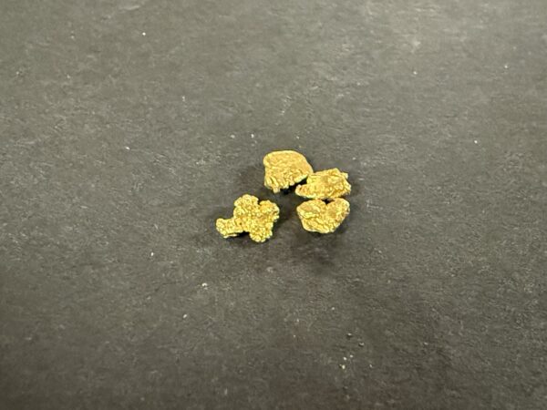 ALASKAN GOLD NUGGET| Natural Gold Nugget| Authentic Alaska Natural Gold Nugget| 0.467 Grams Of Pure Raw Gold| Rare Collector's Piece Or Gift