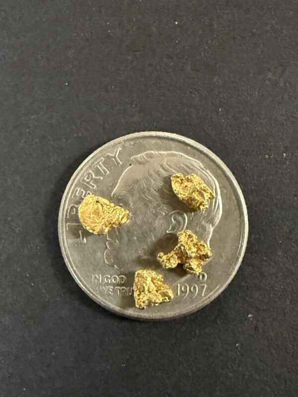 ALASKAN GOLD NUGGET| Natural Gold Nugget| Authentic Alaska Natural Gold Nugget| 0.467 Grams Of Pure Raw Gold| Rare Collector's Piece Or Gift - Image 2