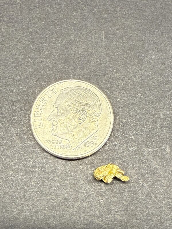 ALASKAN GOLD NUGGET| Natural Gold Nugget| Authentic Alaska Natural Gold Nugget| 0.270 Grams Of Pure Raw Gold| Rare Collector's Piece Or Gift - Image 4