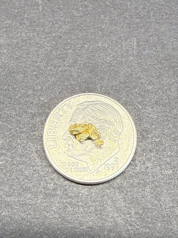 ALASKAN GOLD NUGGET| Natural Gold Nugget| Authentic Alaska Natural Gold Nugget| 0.270 Grams Of Pure Raw Gold| Rare Collector's Piece Or Gift - Image 3