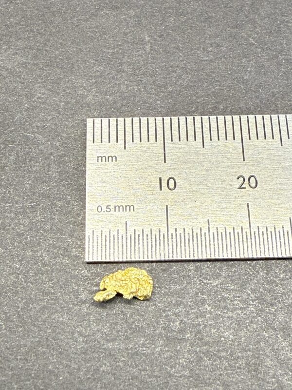 ALASKAN GOLD NUGGET| Natural Gold Nugget| Authentic Alaska Natural Gold Nugget| 0.270 Grams Of Pure Raw Gold| Rare Collector's Piece Or Gift - Image 2