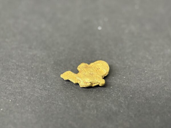 ALASKAN GOLD NUGGET| Natural Gold Nugget| Authentic Alaska Natural Gold Nugget| 1.084 Grams Of Pure Raw Gold| Rare Collector's Piece Or Gift