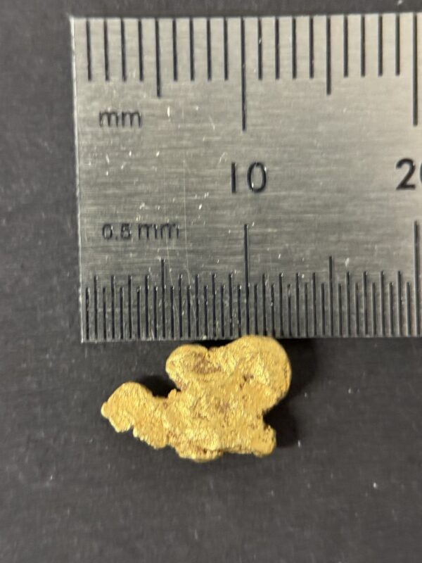 ALASKAN GOLD NUGGET| Natural Gold Nugget| Authentic Alaska Natural Gold Nugget| 1.084 Grams Of Pure Raw Gold| Rare Collector's Piece Or Gift - Image 5