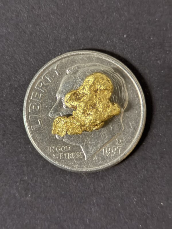 ALASKAN GOLD NUGGET| Natural Gold Nugget| Authentic Alaska Natural Gold Nugget| 1.084 Grams Of Pure Raw Gold| Rare Collector's Piece Or Gift - Image 3