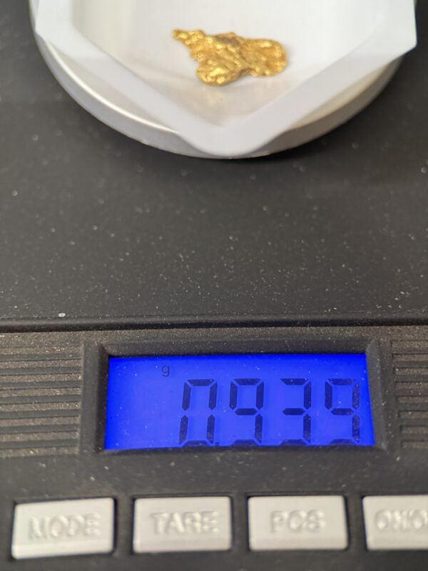 ALASKAN GOLD NUGGET| Natural Gold Nugget| Authentic Alaska Natural Gold Nugget| 0.939 Grams Of Pure Raw Gold| Rare Collector's Piece Or Gift - Image 2