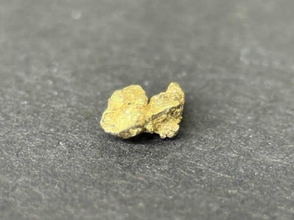 ALASKAN GOLD NUGGET| Natural Gold Nugget| Authentic Alaska Natural Gold Nugget| 0.131 Grams Of Pure Raw Gold| Rare Collector's Piece Or Gift