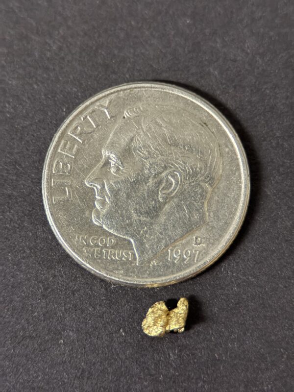 ALASKAN GOLD NUGGET| Natural Gold Nugget| Authentic Alaska Natural Gold Nugget| 0.131 Grams Of Pure Raw Gold| Rare Collector's Piece Or Gift - Image 5