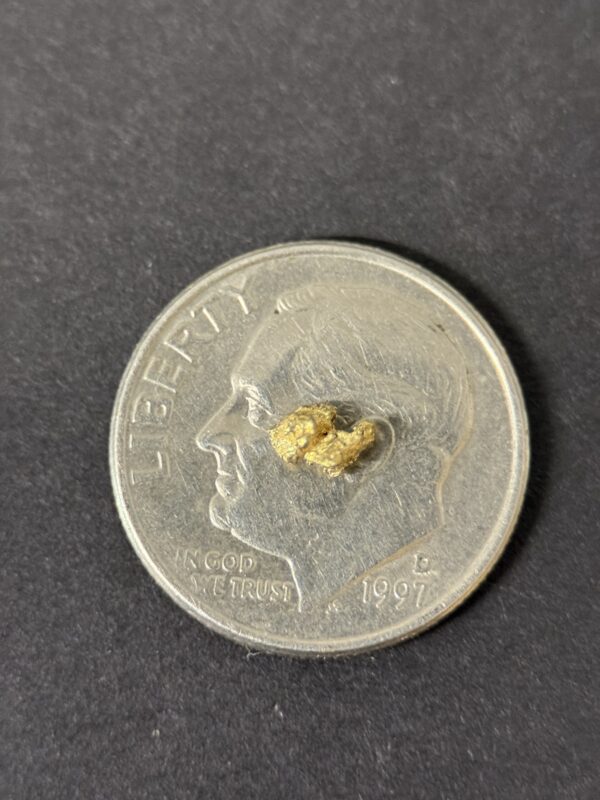 ALASKAN GOLD NUGGET| Natural Gold Nugget| Authentic Alaska Natural Gold Nugget| 0.131 Grams Of Pure Raw Gold| Rare Collector's Piece Or Gift - Image 3