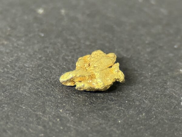ALASKAN GOLD NUGGET| Natural Gold Nugget| Authentic Alaska Natural Gold Nugget| 0.111 Grams Of Pure Raw Gold| Rare Collector's Piece Or Gift