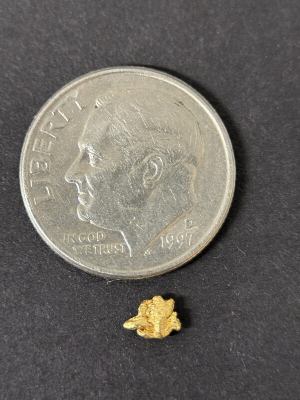 ALASKAN GOLD NUGGET| Natural Gold Nugget| Authentic Alaska Natural Gold Nugget| 0.111 Grams Of Pure Raw Gold| Rare Collector's Piece Or Gift - Image 4