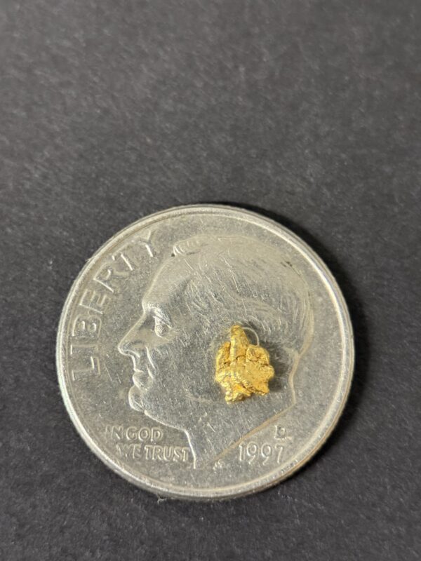 ALASKAN GOLD NUGGET| Natural Gold Nugget| Authentic Alaska Natural Gold Nugget| 0.111 Grams Of Pure Raw Gold| Rare Collector's Piece Or Gift - Image 3